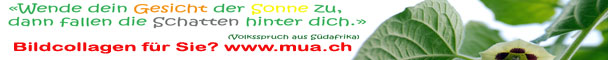 bild3zit_60x608.jpg